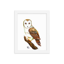 Watercolor Barn Owl Framed print