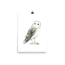 Barn Owl Ink Wash Matte Print