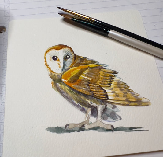 Barn Owl Miniature