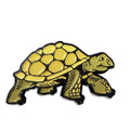 Tortoise Enamel Pin