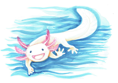 Axolotl Watercolor Painting