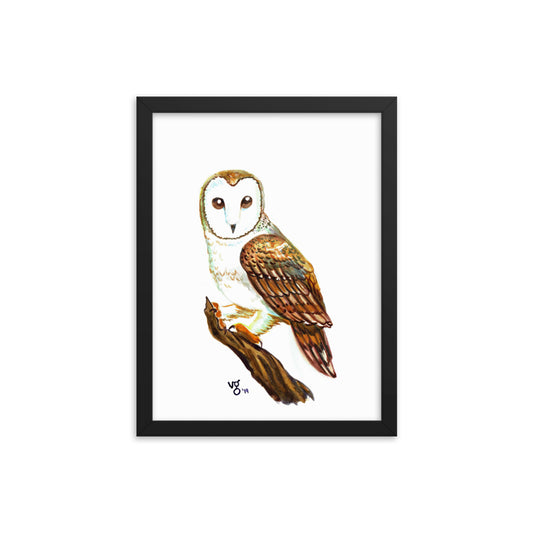 Watercolor Barn Owl Framed print