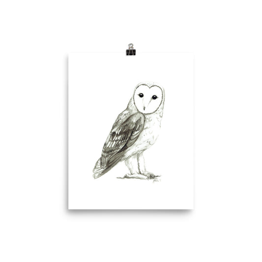 Barn Owl Ink Wash Matte Print