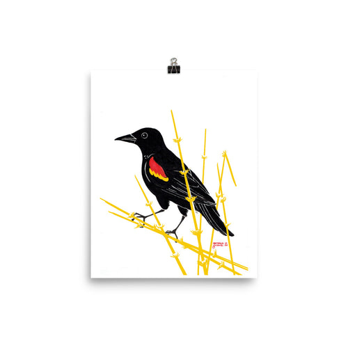 Redwing Blackbird Poster