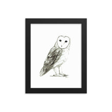 Barn Owl Ink Wash Framed print