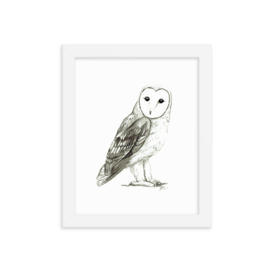 Barn Owl Ink Wash Framed print