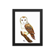 Watercolor Barn Owl Framed print