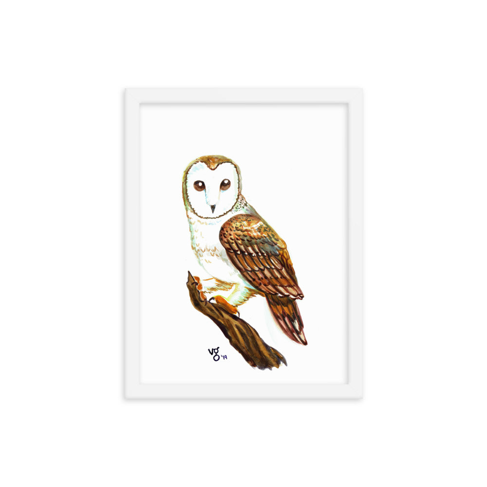 Watercolor Barn Owl Framed print