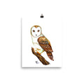 Watercolor Barn Owl Print
