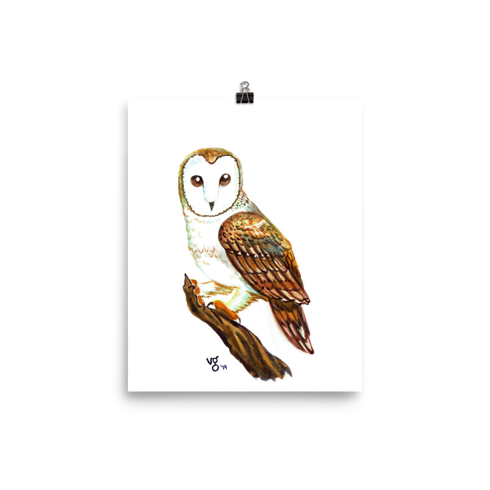 Watercolor Barn Owl Print