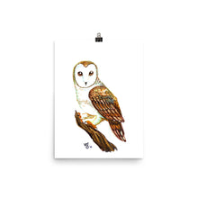 Watercolor Barn Owl Print
